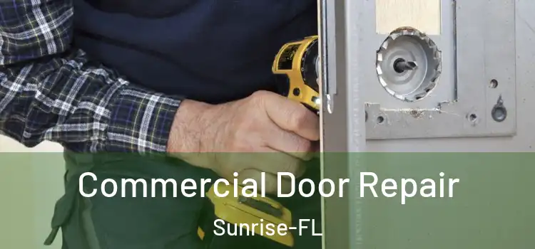 Commercial Door Repair Sunrise-FL