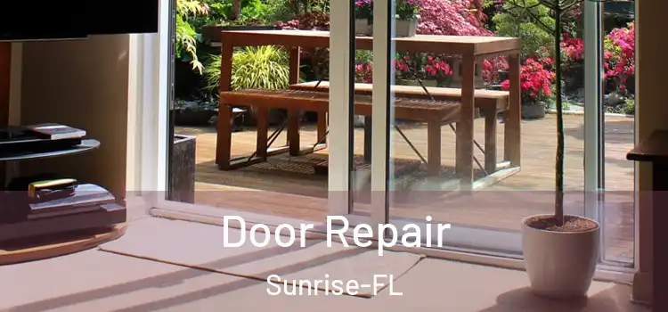  Door Repair Sunrise-FL
