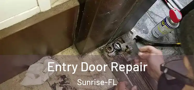 Entry Door Repair Sunrise-FL
