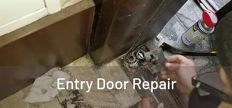 Entry Door Repair