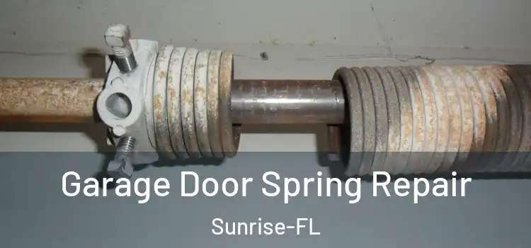  Garage Door Spring Repair Sunrise-FL