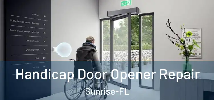  Handicap Door Opener Repair Sunrise-FL