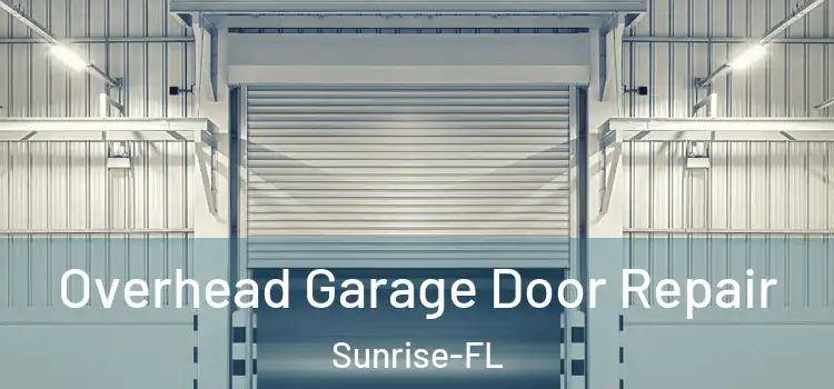  Overhead Garage Door Repair Sunrise-FL