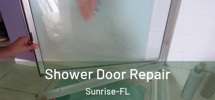  Shower Door Repair Sunrise-FL