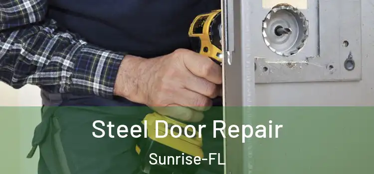 Steel Door Repair Sunrise-FL